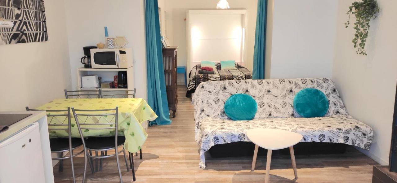 Ferienwohnung Grand Studio Cahors Centre Rdc Proche Gare Pont Valentre Exterior foto