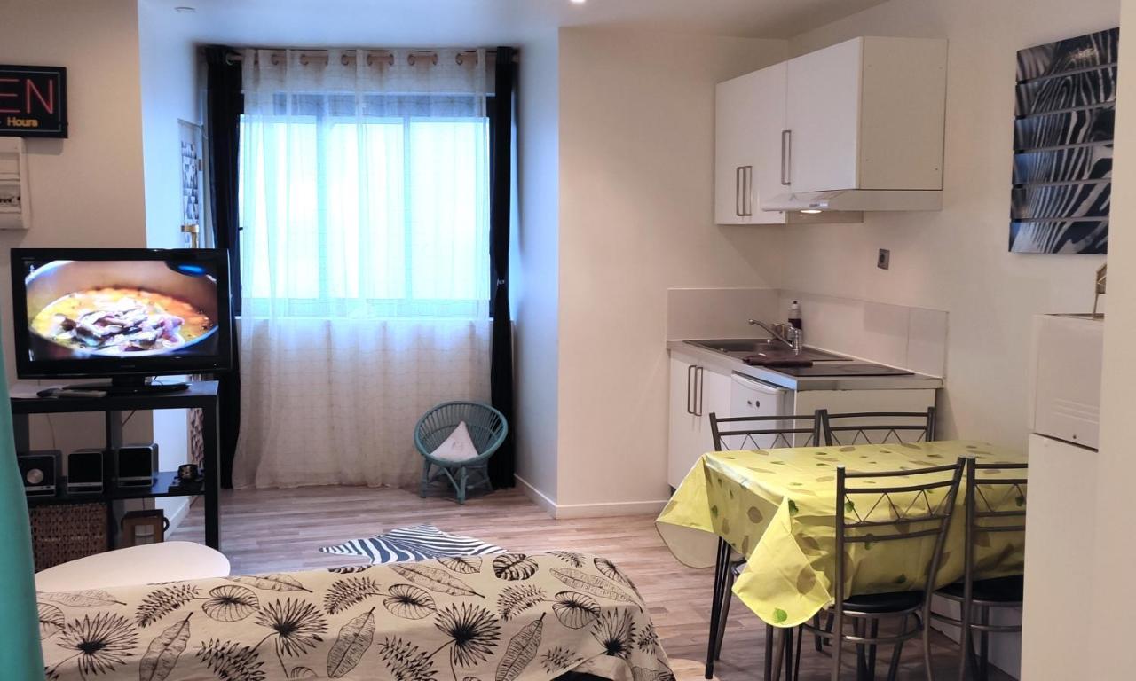 Ferienwohnung Grand Studio Cahors Centre Rdc Proche Gare Pont Valentre Exterior foto